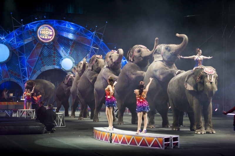 Ringling Bros. and Barnum & Bailey® Presents Built To Amaze