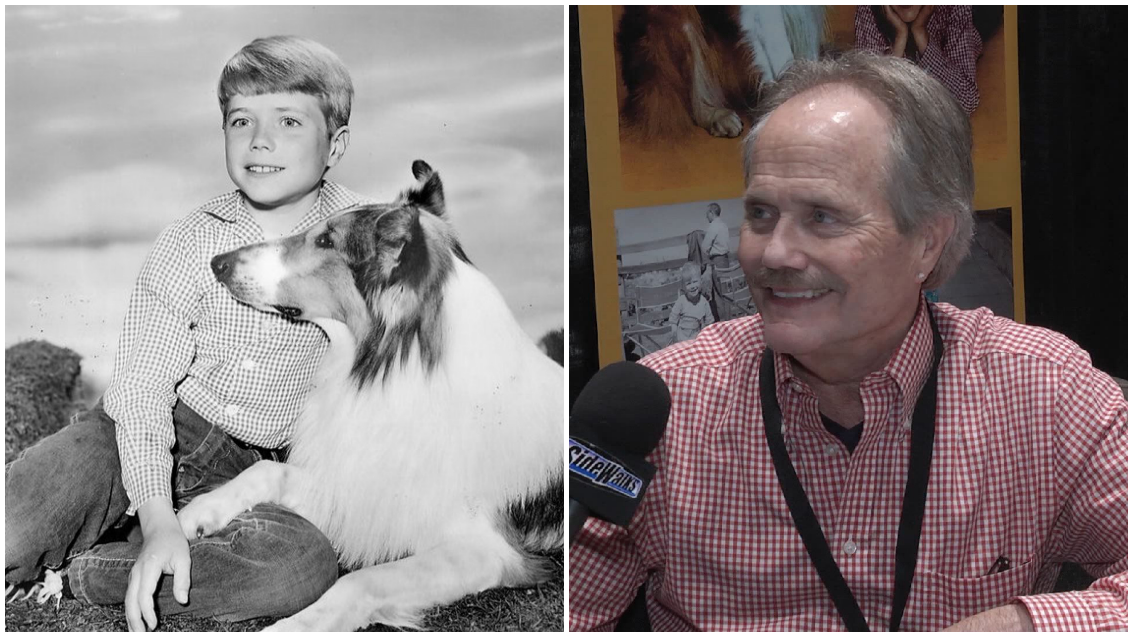 Lassie' star Jon Provost says Timmy was never trapped in a well: 'We just  don't know where that came from