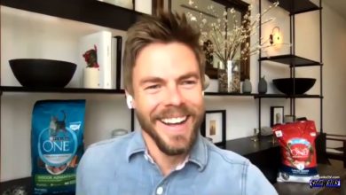 Derek Hough smiling and looking left