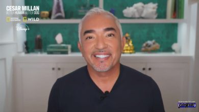 A smile from Cesar Millan