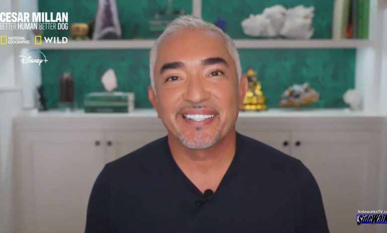 A smile from Cesar Millan