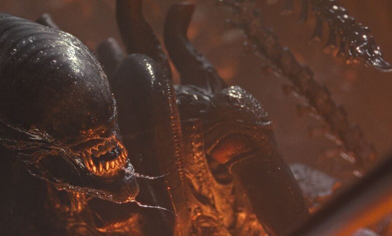 Xenomorph