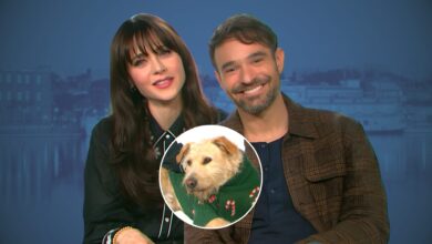 Zooey Deschanel, Charlie Cox and Gus (in circle)