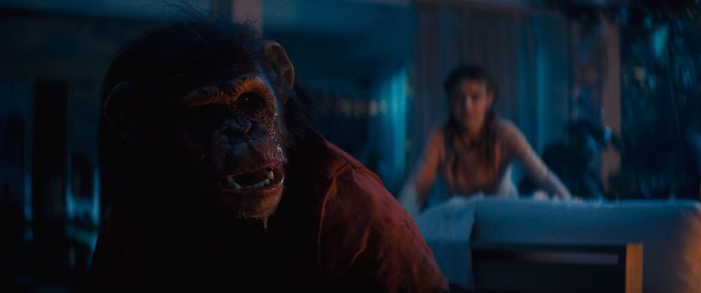 A large, rabid-looking chimpanzee in a red shirt crouches in a dark room while a woman in a beige outfit is visible in the background.