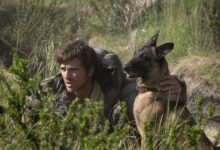 Jacob Elordi as Hig and Jasper staring ahead.