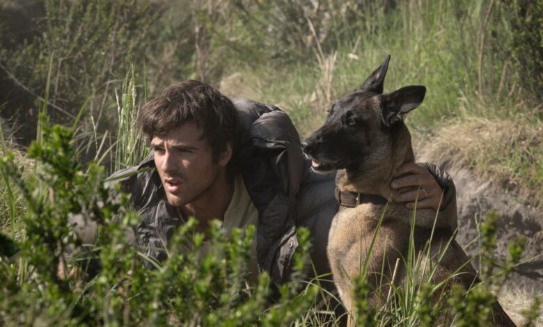Jacob Elordi as Hig and Jasper staring ahead.